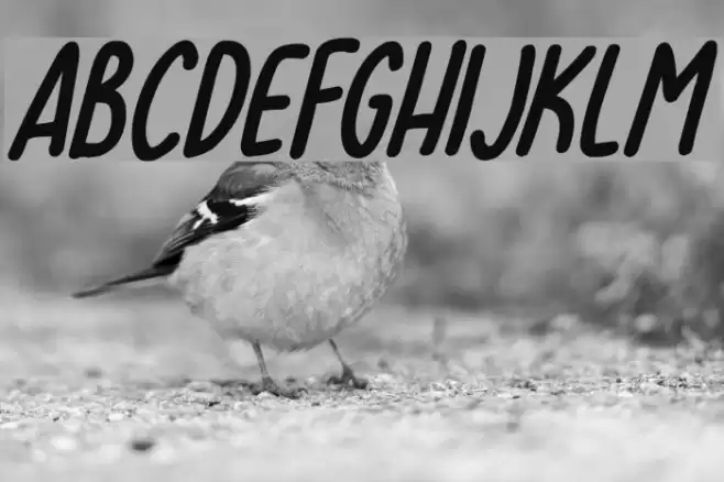 Lovehearts XYZ Italic Font examples