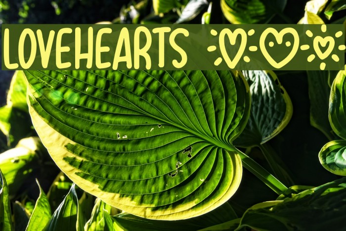 Lovehearts XYZ Font examples