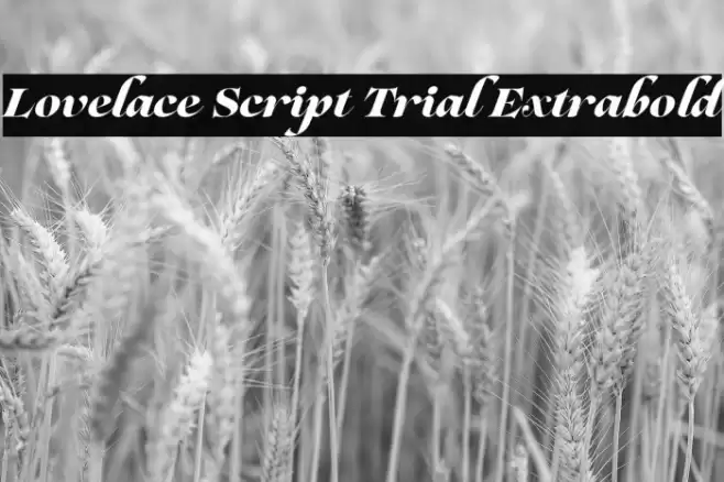 Lovelace Script Trial Extrabold Font examples