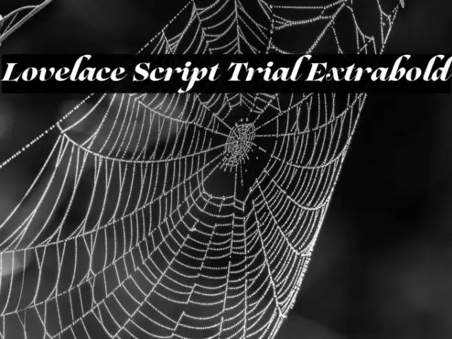 Lovelace Script Trial Extrabold Font examples