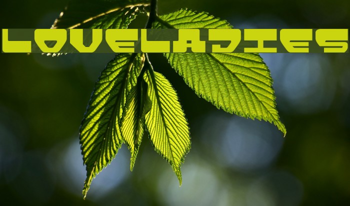 Loveladies Font examples