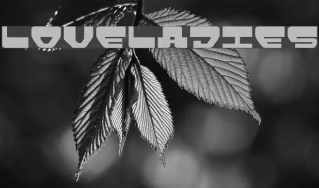 Loveladies Example 1