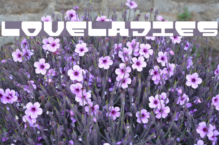 Loveladies Font examples