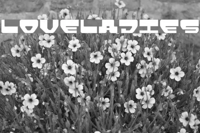 Loveladies Example 2
