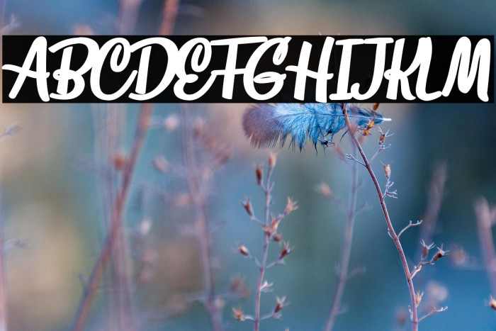 Loveland Personal Use Example 3