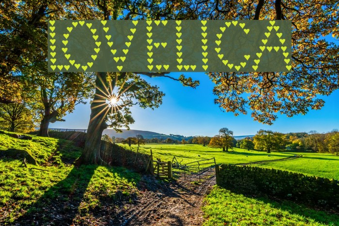 Lovelica Font examples
