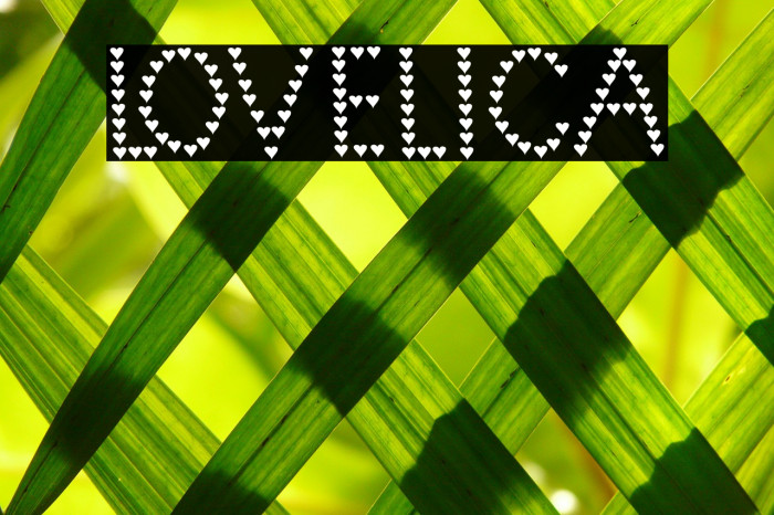 Lovelica Fuentes examples