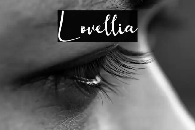 Lovellia Example 1