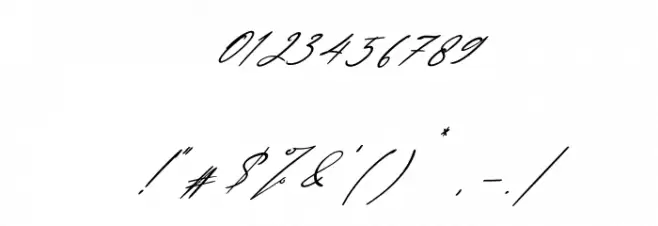 Lovelly Amsterdam Italic Font OTHER CHARS