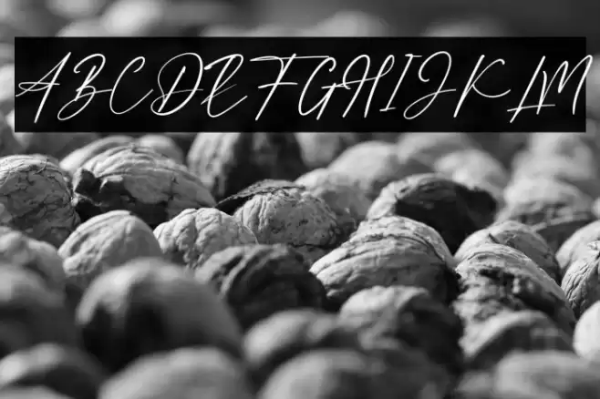 Lovelly Amsterdam Font examples