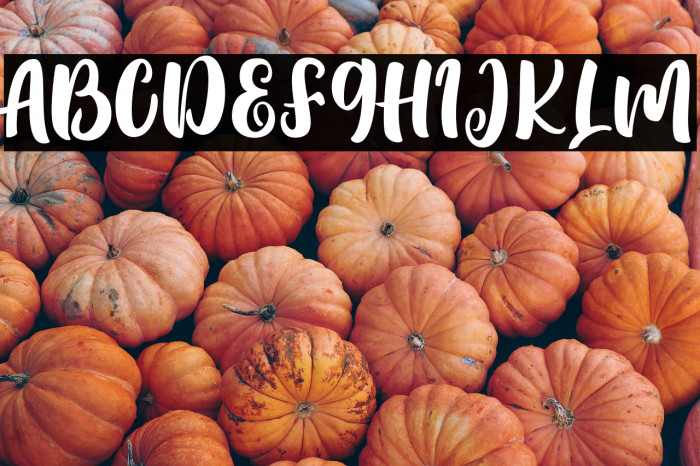 Lovely Aisha Example 3