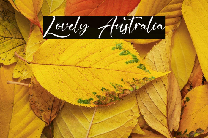 Lovely Australia Example 3