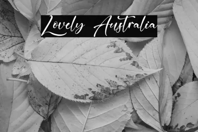 Lovely Australia Example 3