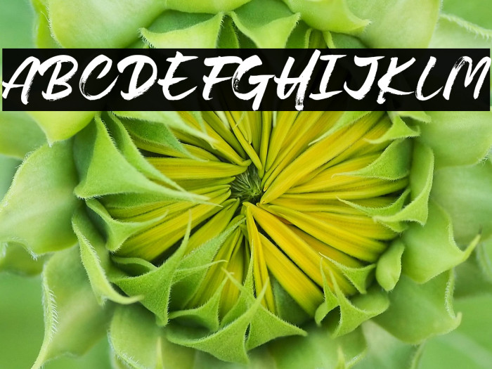 Lovely Boys Example 1