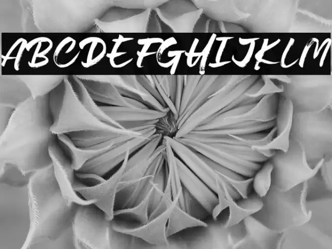 Lovely Boys Font examples