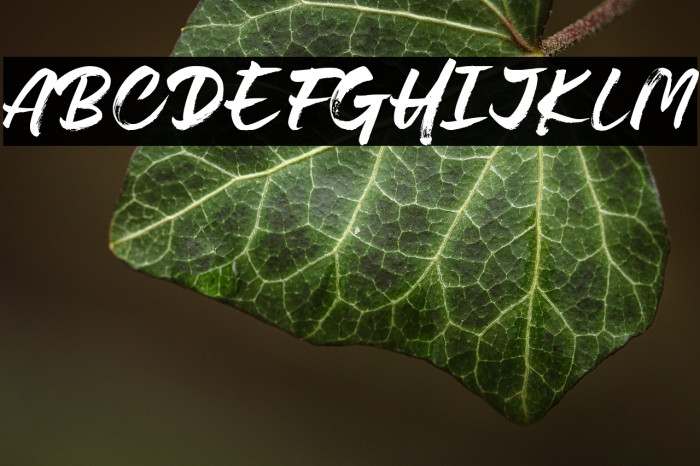 Lovely Boys Example 3