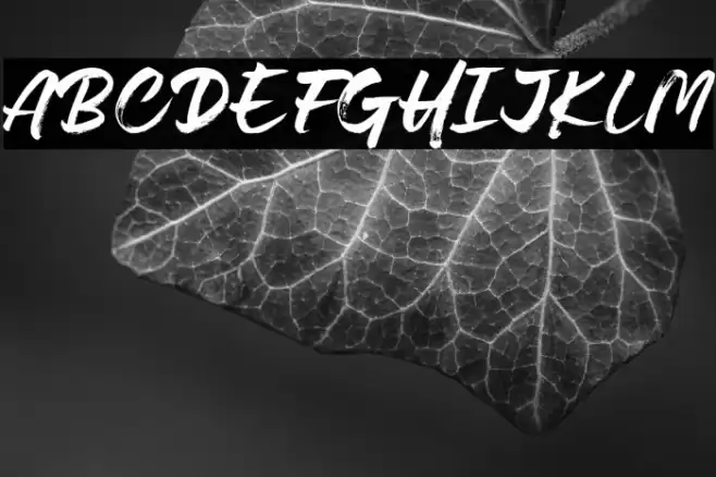 Lovely Boys Font examples