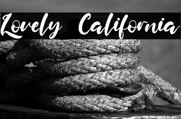 Lovely California Example 2