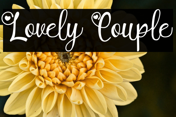 Lovely Couple Example 1