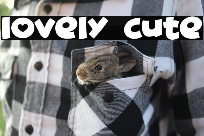 Lovely Cute Example 2