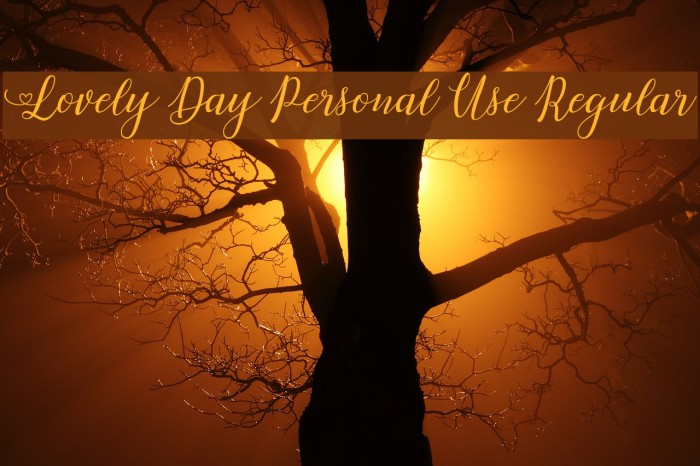 Lovely Day Personal Use Regular Example 2