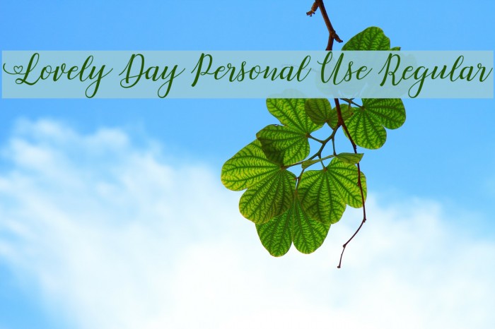 Lovely Day Personal Use Regular Example 3
