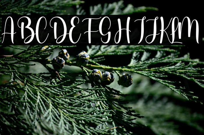 Lovely Dream Personal Use Example 2