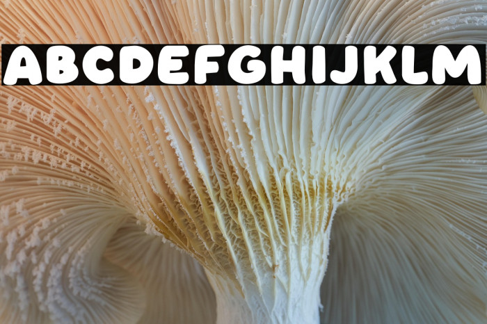 Lovely Face Example 2