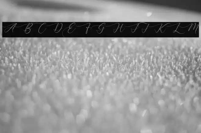 Lovely Garden Font examples