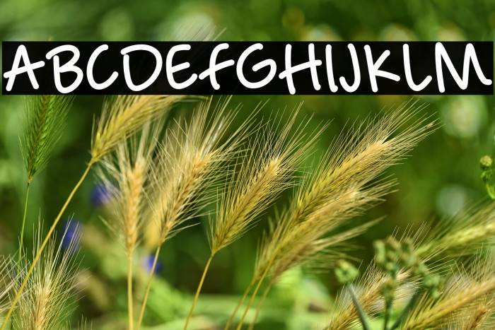 Lovely Ghosting Example 3