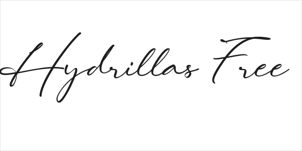 Lovely Hydrillas Free Regular Logo