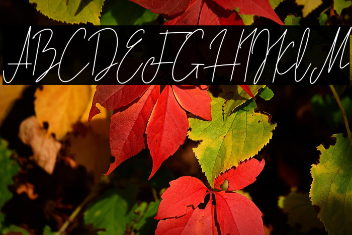 Lovely Jeanne Script Example 1