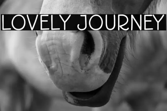 Lovely Journey Font examples