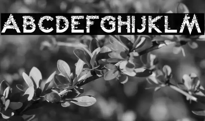 Lovely Kei Font examples