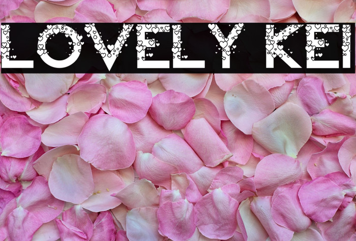 Lovely Kei Example 2