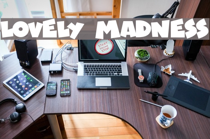 Lovely Madness Font examples