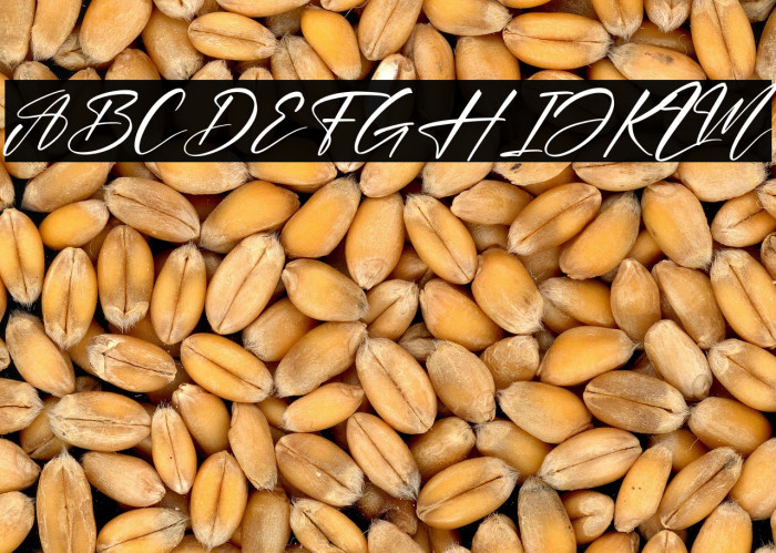 Lovely Miles Italic Example 3