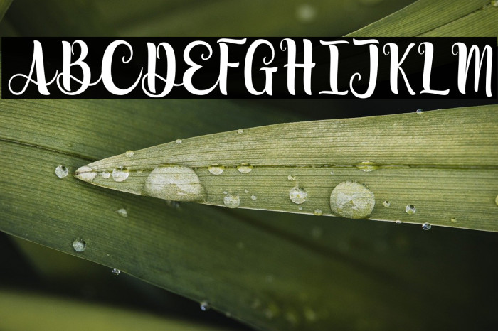 Lovely Moments Example 1