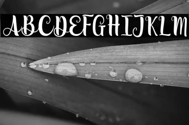 Lovely Moments Font examples