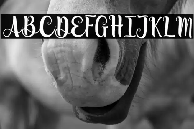 Lovely Moments Font examples