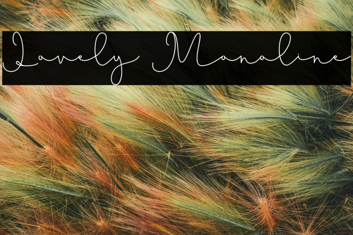 Lovely Monoline Example 1