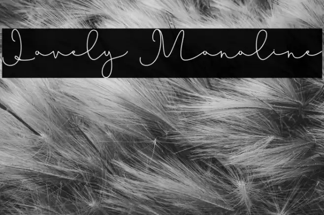 Lovely Monoline Schriftart examples
