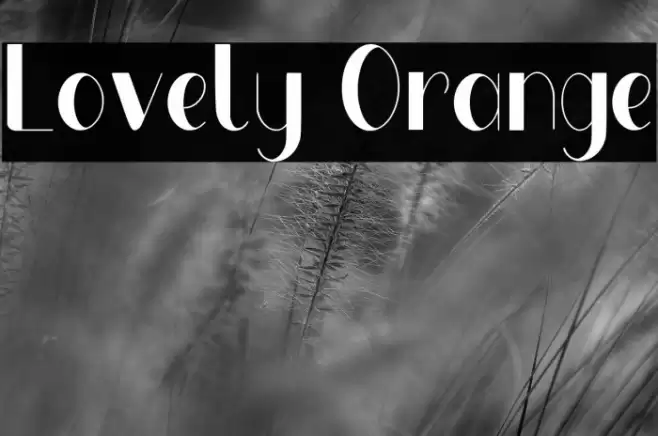 Lovely Orange Font examples