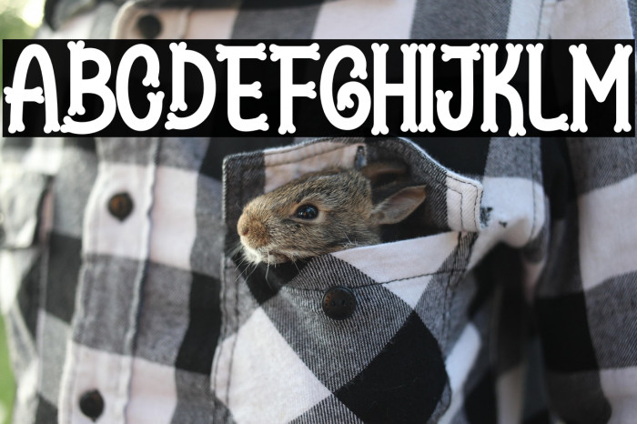 Lovely Puppy Example 2