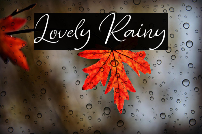 Lovely Rainy Example 1