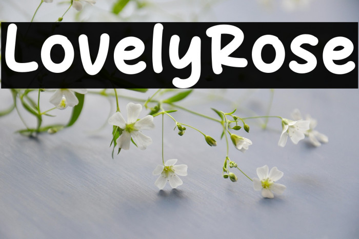 Lovely Rose Example 1