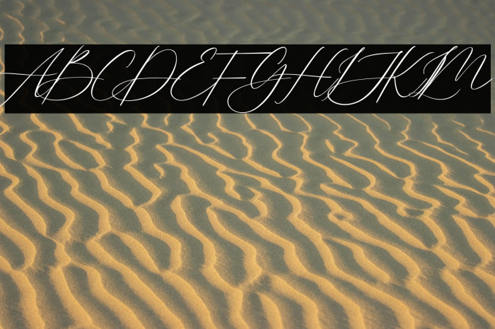 Lovely Script Example 3