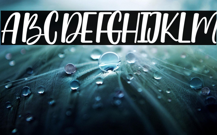 Lovely Sweetie Example 1