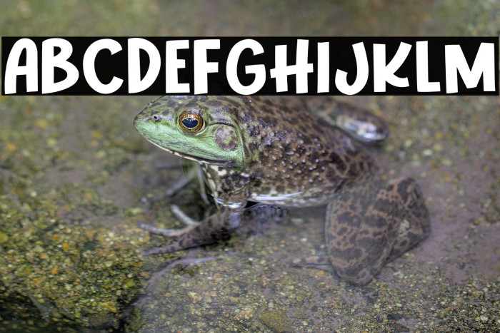 Lovely Time Example 1