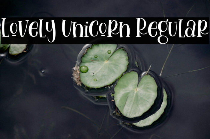 Lovely Unicorn Regular Example 2